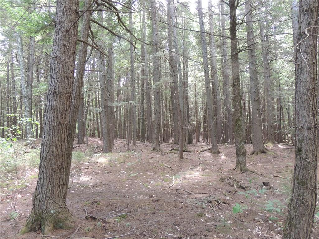 Tbd Frith Road Moscow, ME 04920 - Photo 4 of 7 Photo