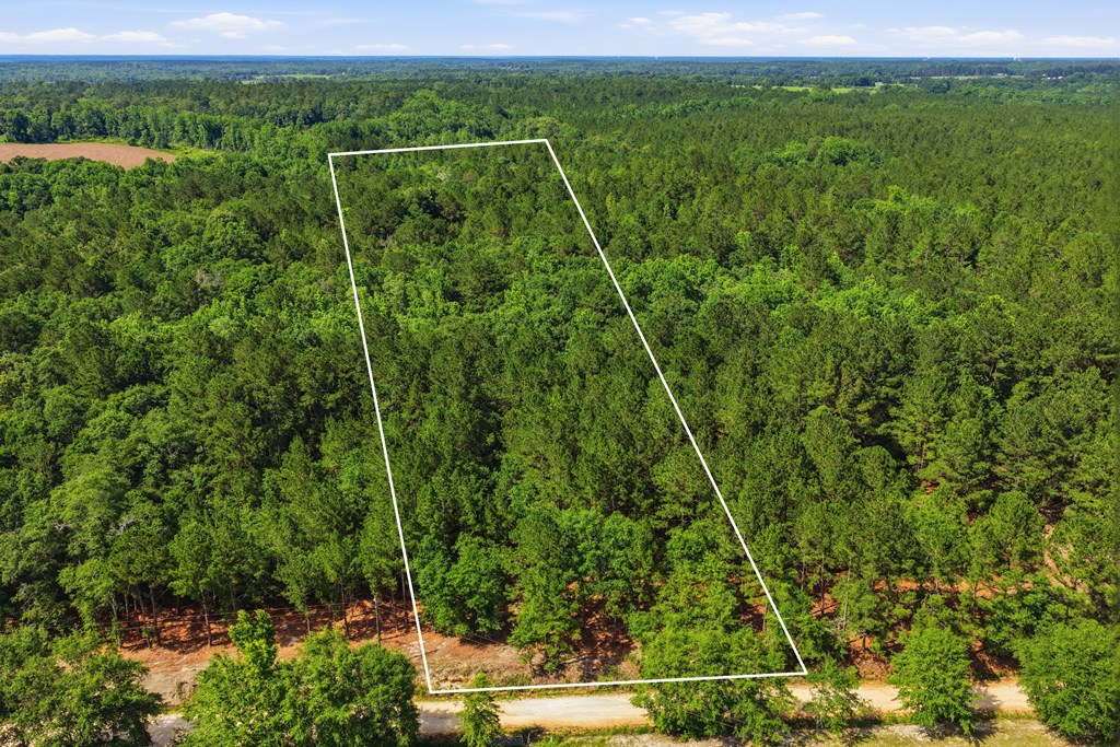 Lot #3 Crosby Clark Road Opp, AL 36467 - Photo 11 of 15
