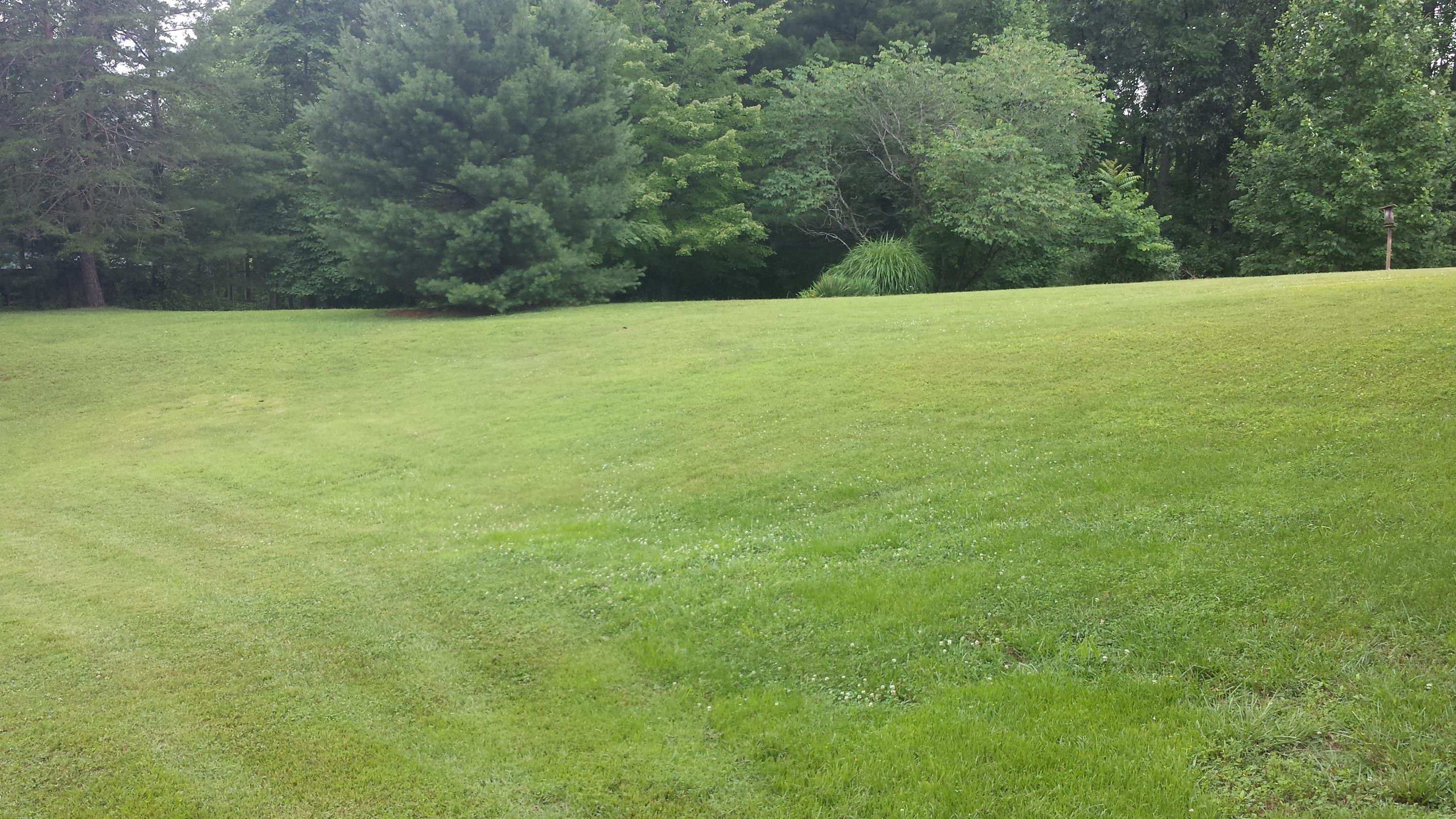 0 Deerhill Road Goodview, VA 24095 - Photo 1 of 1 a view of a field with a trees in the background
