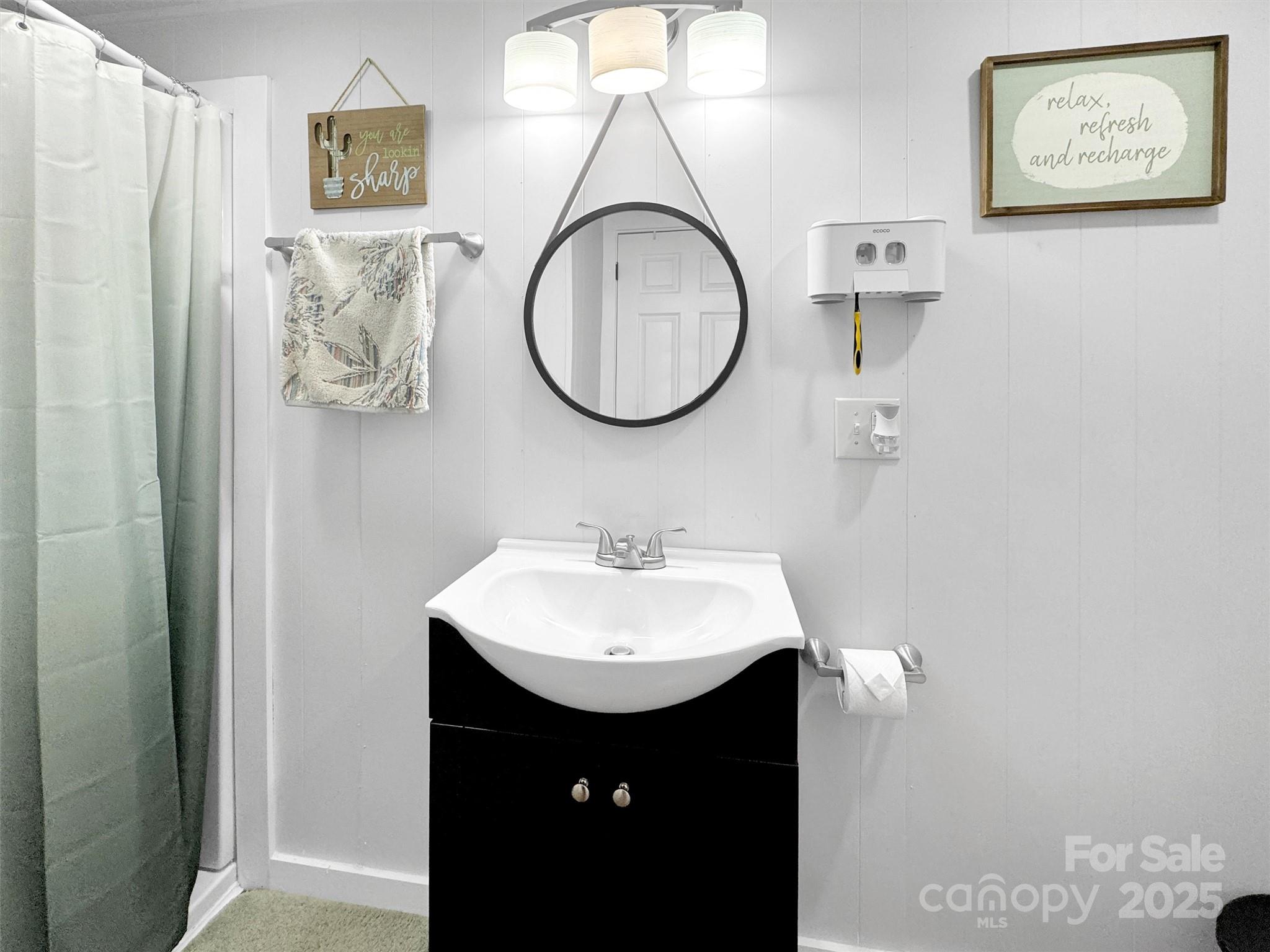 82 Elizabeth Street Canton, NC 28716 - Photo 5 of 17 a bathroom with a sink and a mirror