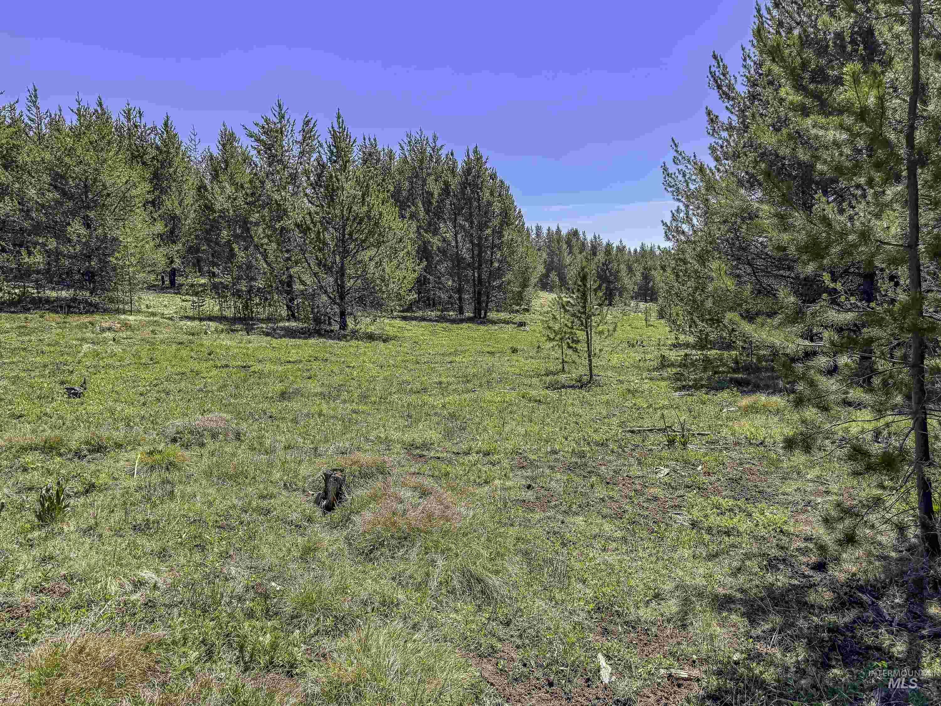 Tbd Deer Creek Road Winchester, ID 83555 - Photo 33 of 39