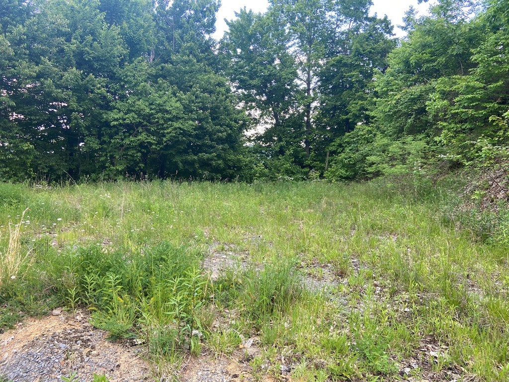 Tbd Arwood Hollow Road, Unit 46 Rowe, VA 24646 - Photo 27 of 30 Gallery Image 27