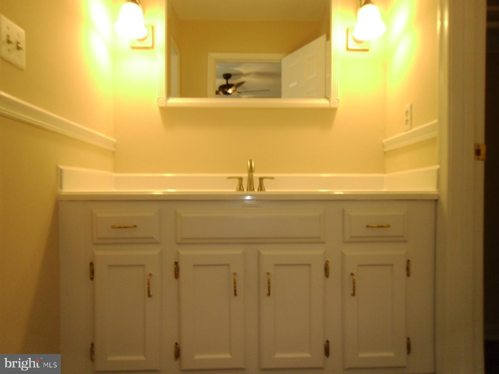 62 Sebastian Road Fredericksburg, VA 22405 - Photo 16 of 26 Master Bath