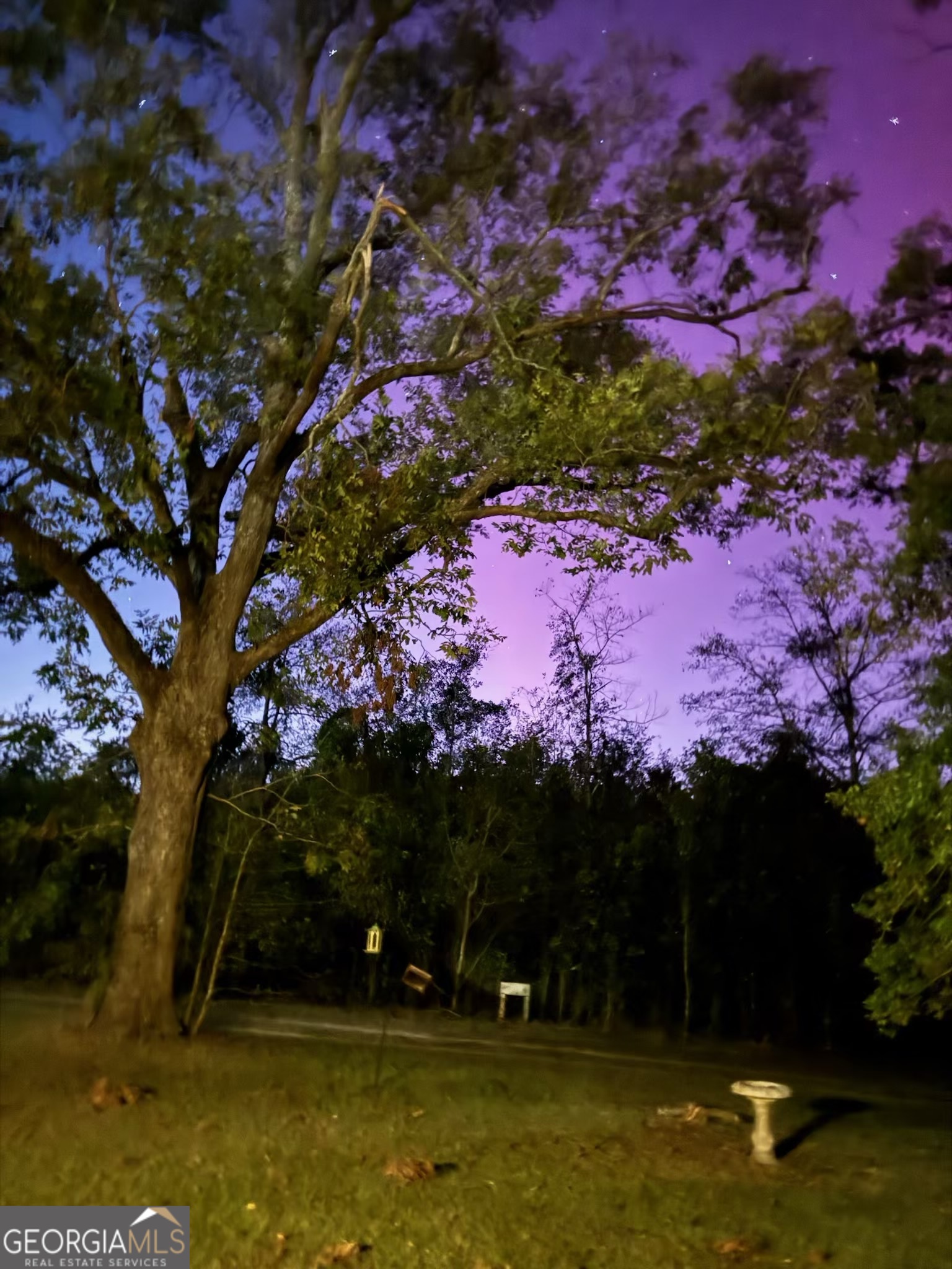 1066 Millen Hiltonia Road Sylvania, GA 30467 - Photo 18 of 24