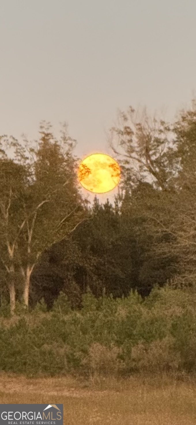 1066 Millen Hiltonia Road Sylvania, GA 30467 - Photo 19 of 24 a view of ocean