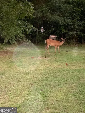 a view of road with tree