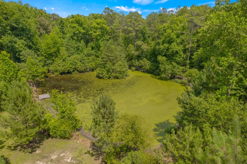 5283 Indian Creek Road Kinards, SC 29355 - Photo 33 of 39 Gallery Image 33