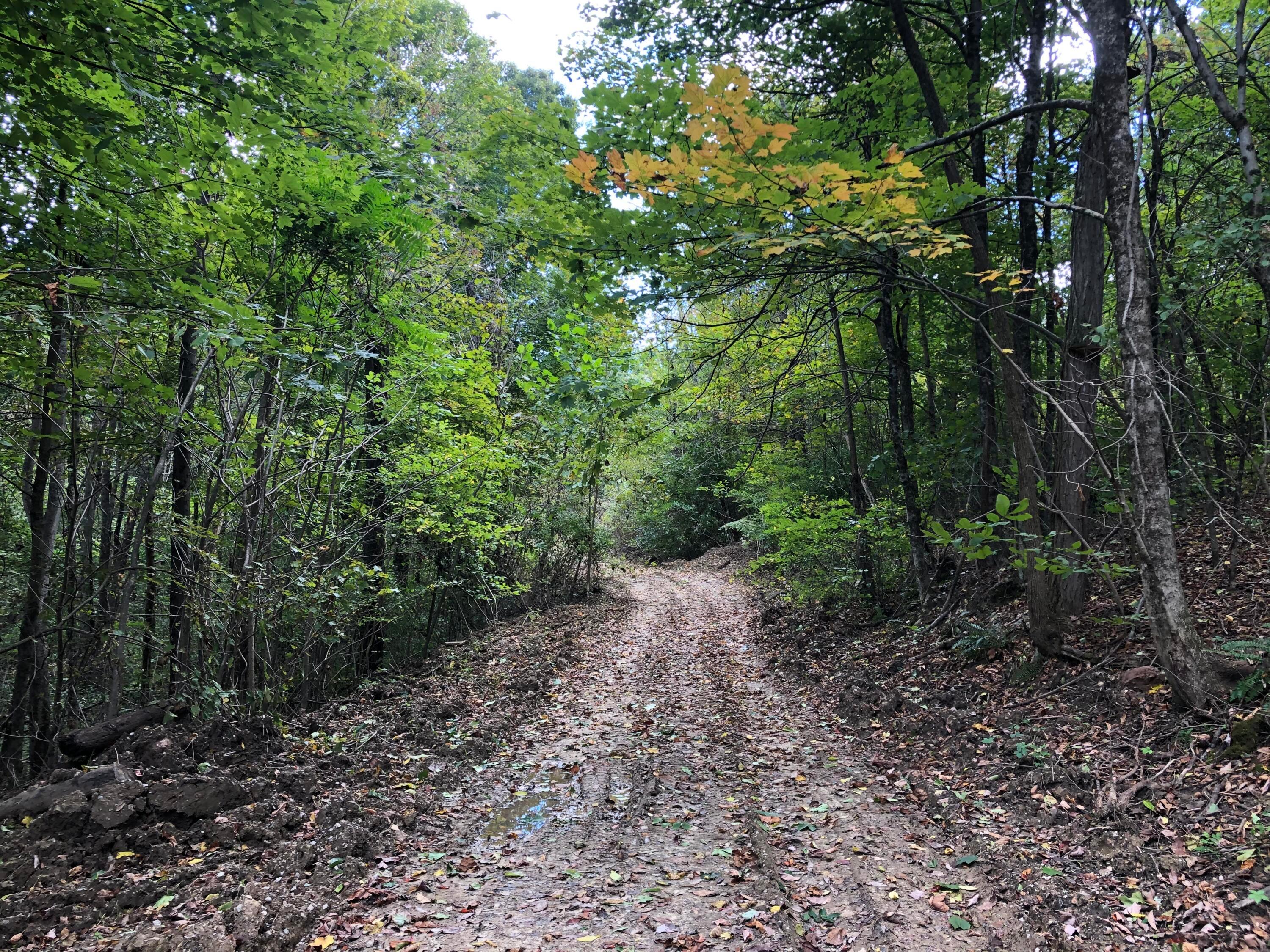 0 County Road 90 Road Crooksville, OH 43731 - Photo 18 of 39 015