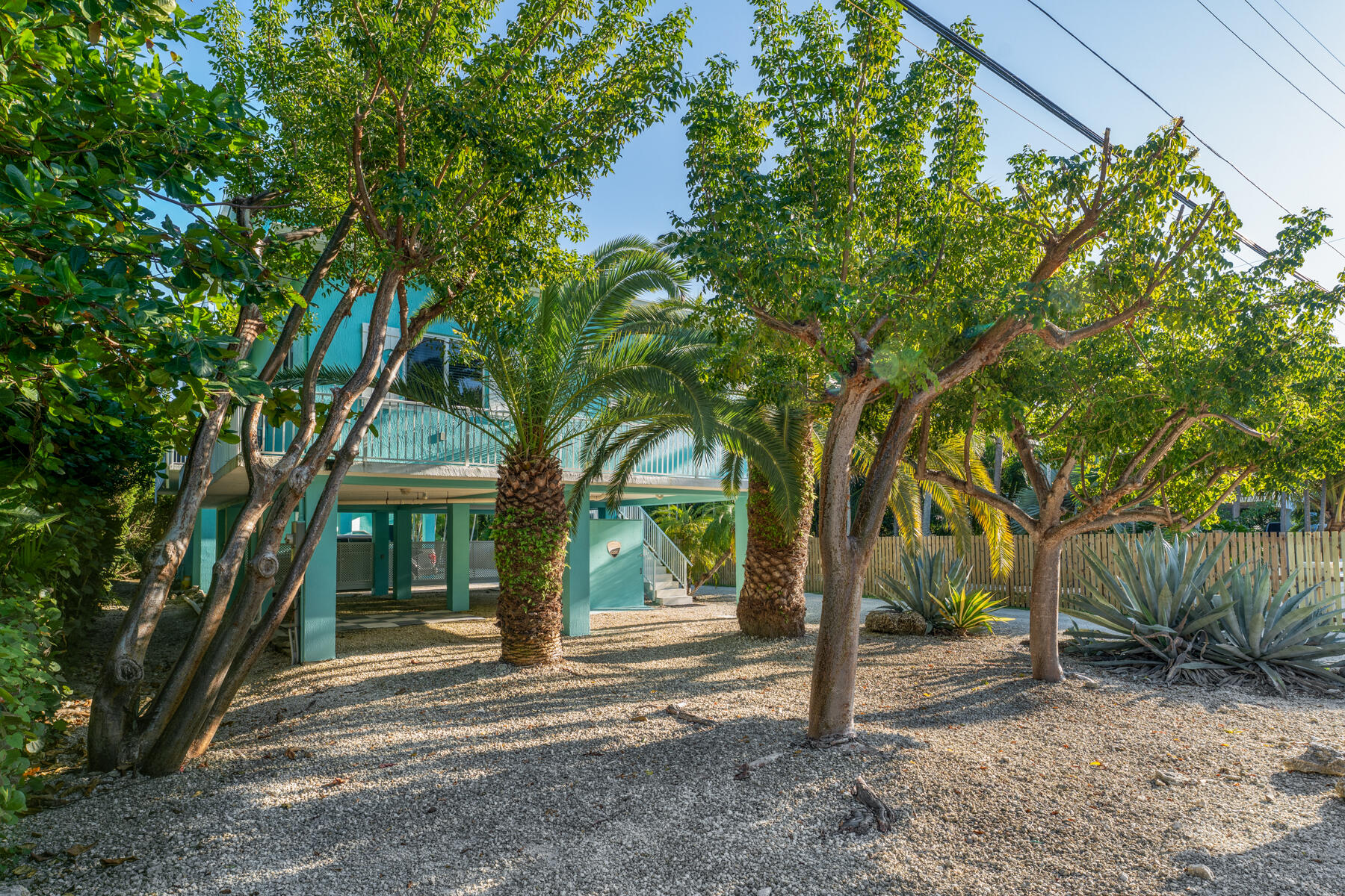 189 Carroll Street Islamorada, FL 33036 - Photo 3 of 37 a view of a house with backyard and trees