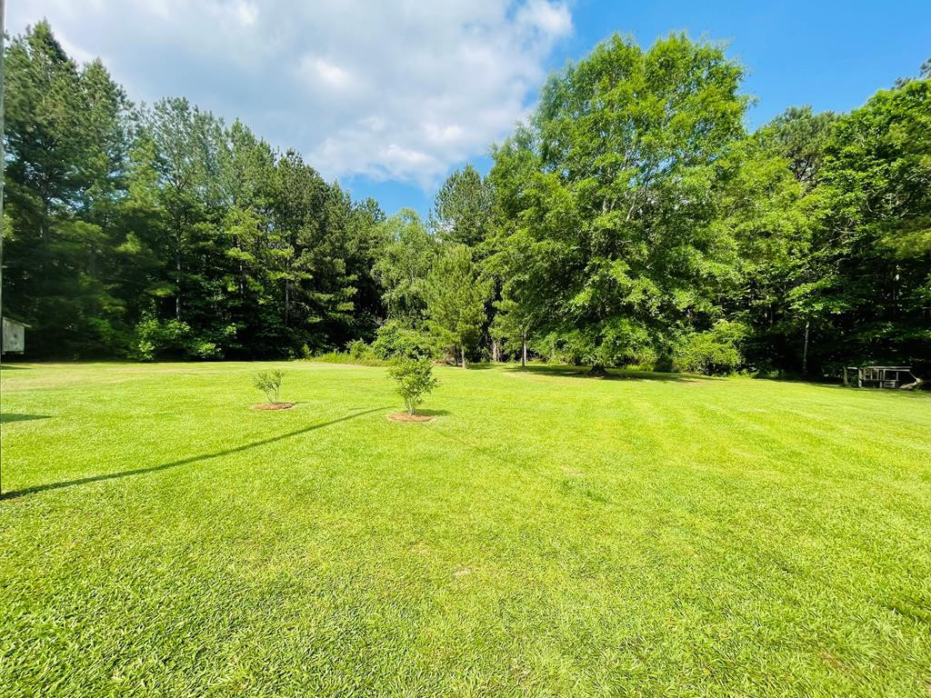 3140 West Topisaw North Ruth, MS 39662 - Photo 25 of 30 Photo 25