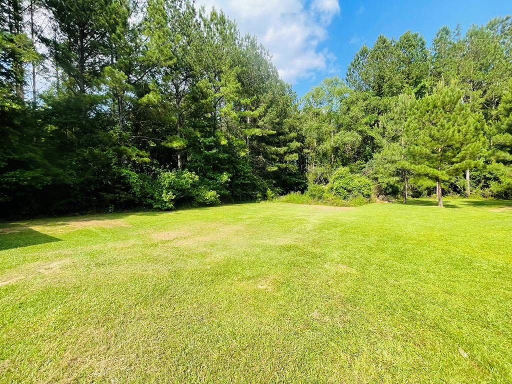 3140 West Topisaw North Ruth, MS 39662 - Photo 26 of 30 Photo 26