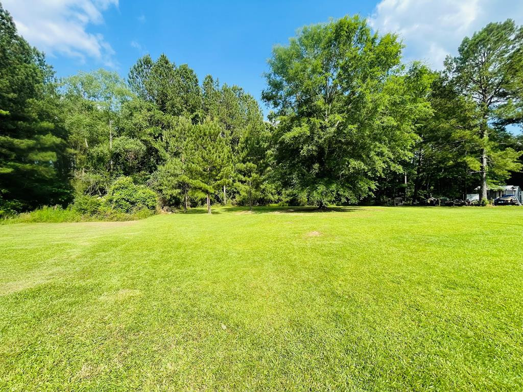 3140 West Topisaw North Ruth, MS 39662 - Photo 27 of 30 Photo 27