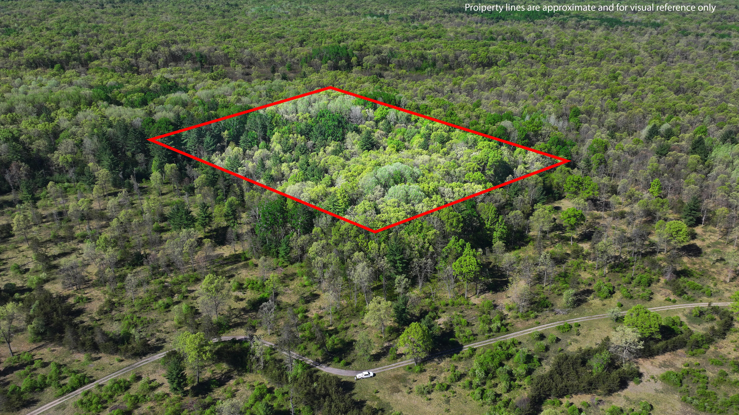 V/l West Hoague Road Manistee, MI 49660 - Photo 3 of 12 DJI_20260529095849_0395_D copy