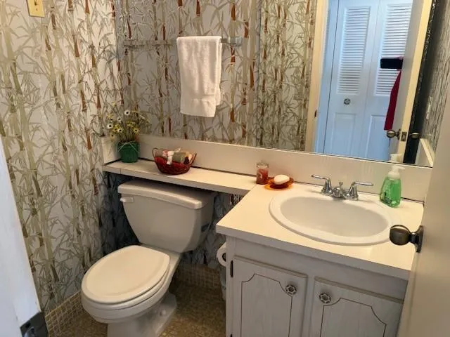 a bathroom with a sink and a toilet