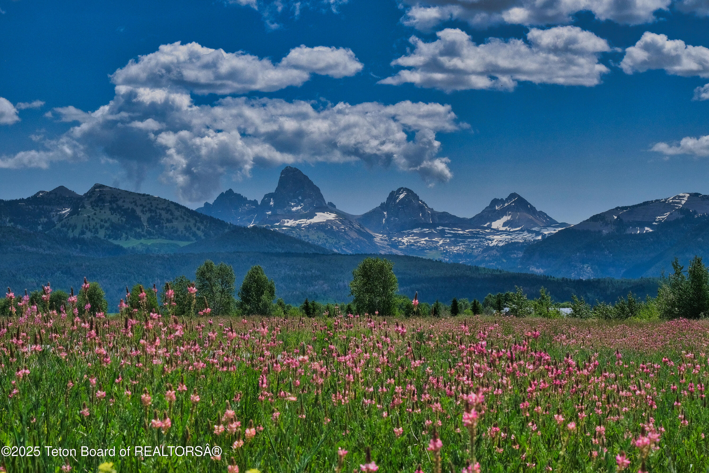 Wydaho Ranch - 4 Teton Peaks