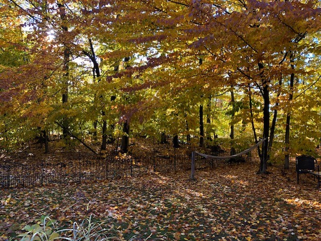 928 Lothario Circle Webster, NY 14580 - Photo 42 of 45