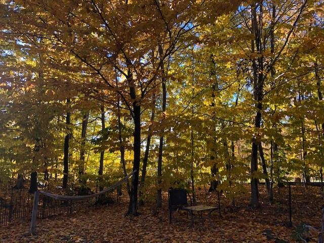 928 Lothario Circle Webster, NY 14580 - Photo 43 of 45