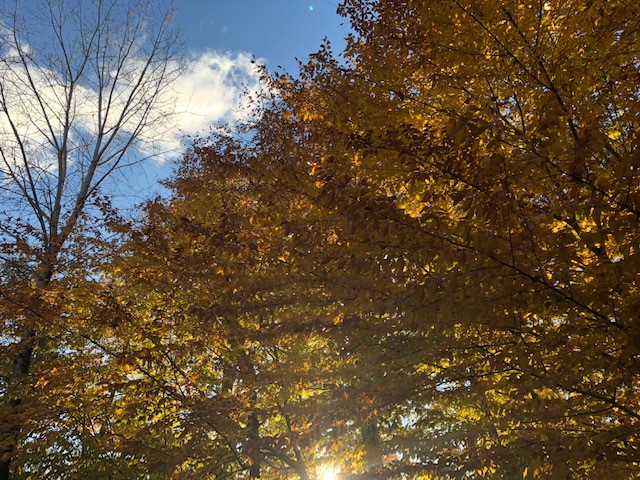 928 Lothario Circle Webster, NY 14580 - Photo 44 of 45