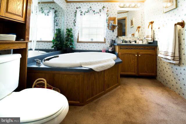 7959 Telegraph Road, Unit 21B Severn, MD 21144 - Photo 10 of 18 Master Bath 1