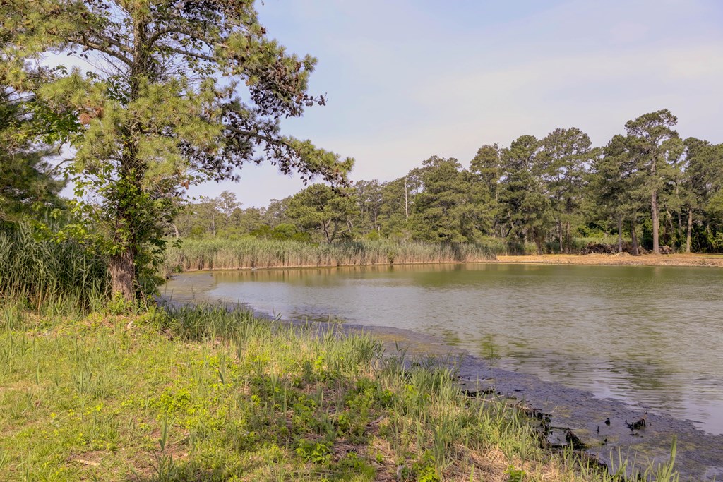 5290 Lakeview Road Chincoteague Island, VA 23336 - Photo 40 of 54