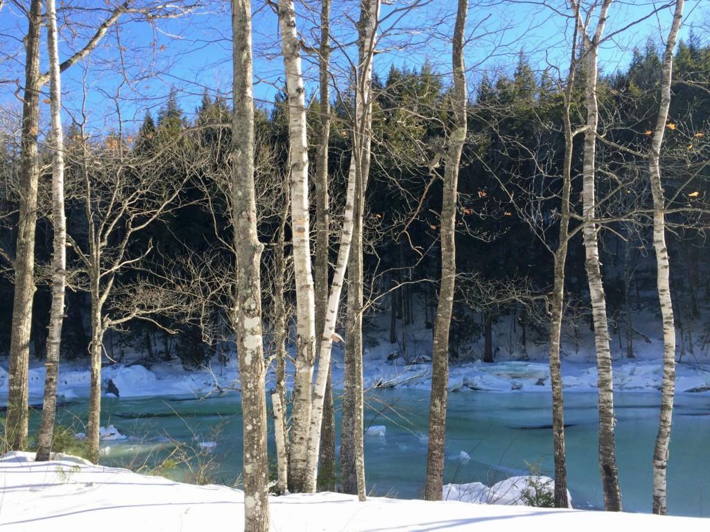 Lot 33 Ledge Road Kingfield, ME 04947 - Photo 7 of 8 Just a walk away from the...