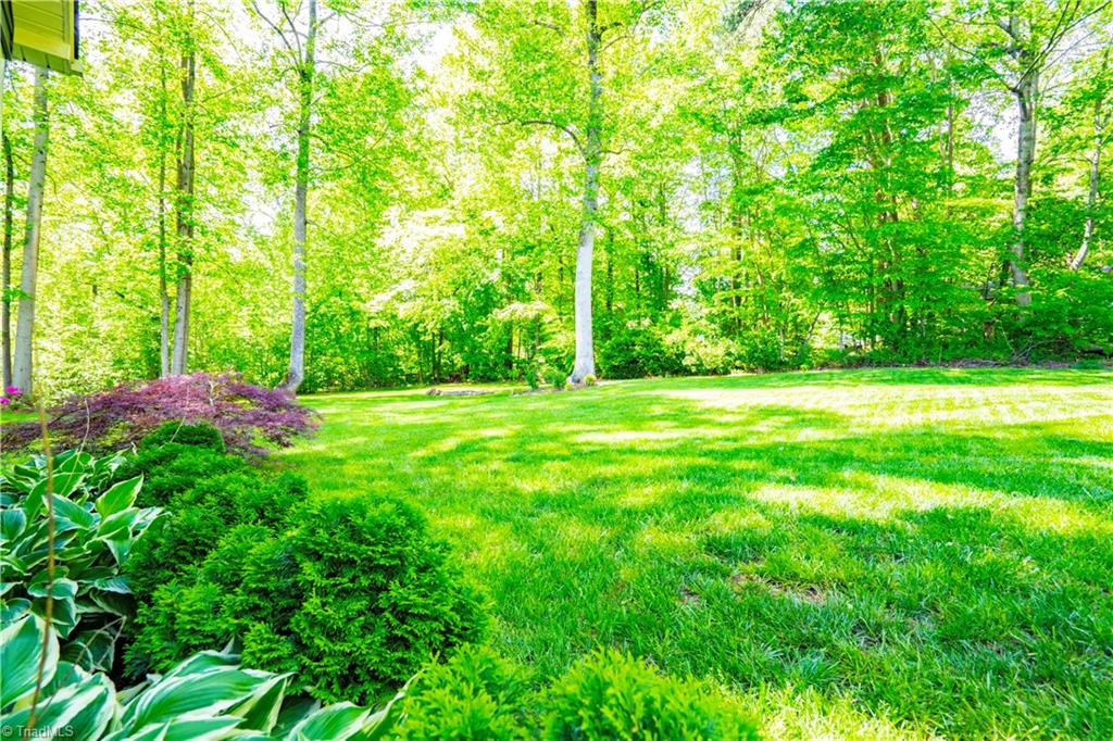 8442 Alice Player Drive Oak Ridge, NC 27310 - Photo 27 of 30 Beautiful backyard