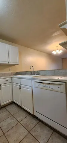 a close view of a sink and dishwasher with cabinets