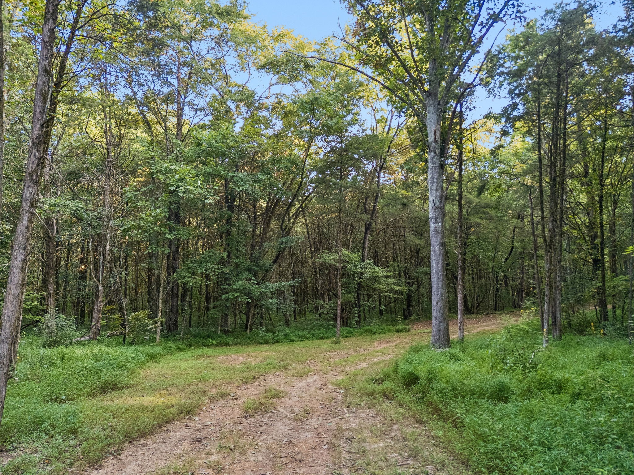 3680 Clark Road Lewisburg, TN 37091 - Photo 21 of 60 Gallery Image 21