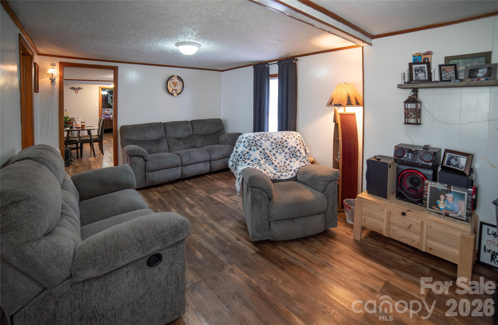 203 Cohen Street Morganton, NC 28655 - Photo 5 of 18 a living room with furniture and a couch