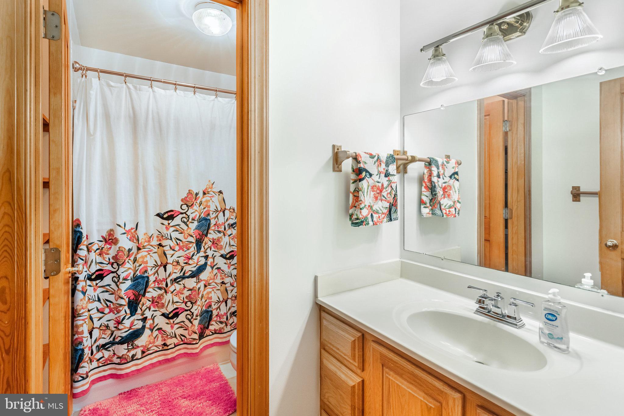 5119 Dickerson Road Partlow, VA 22534 - Photo 16 of 18 a bathroom with a granite countertop sink and a mirror