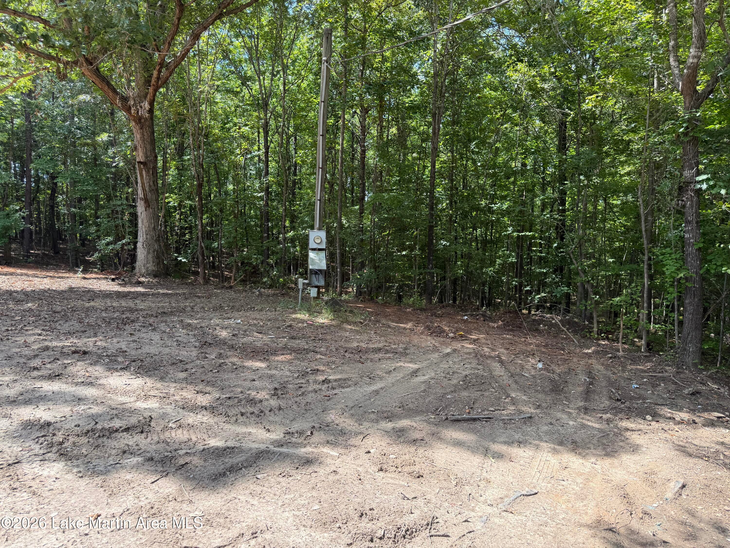 3 /- Acres Rock Springs Road Jacksons Gap, AL 36861 - Photo 2 of 11 Gallery Image 2