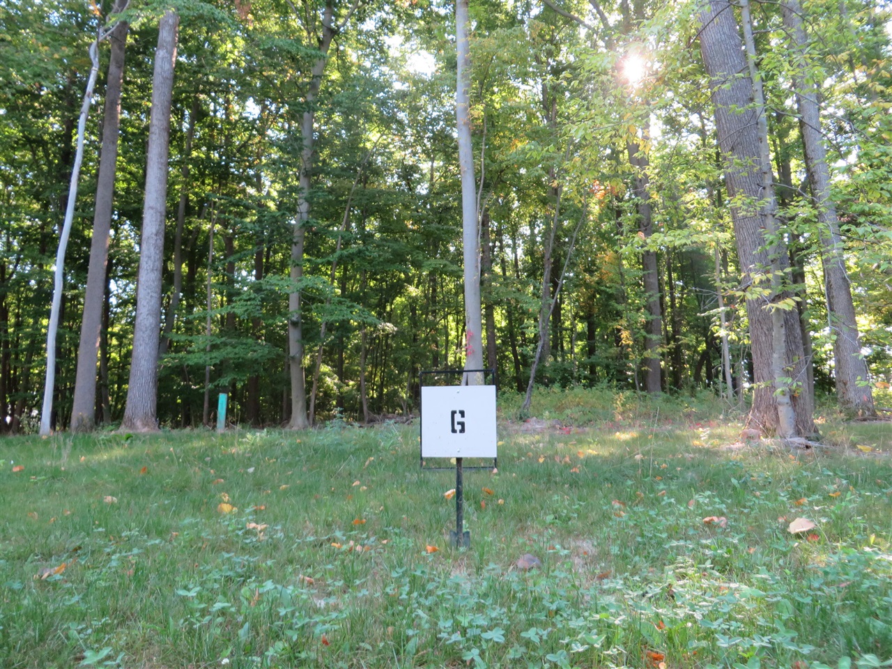 8726 Rainbows End Road Southeast, Unit PARCEL #6 Caledonia, MI 49316 - Photo 4 of 4