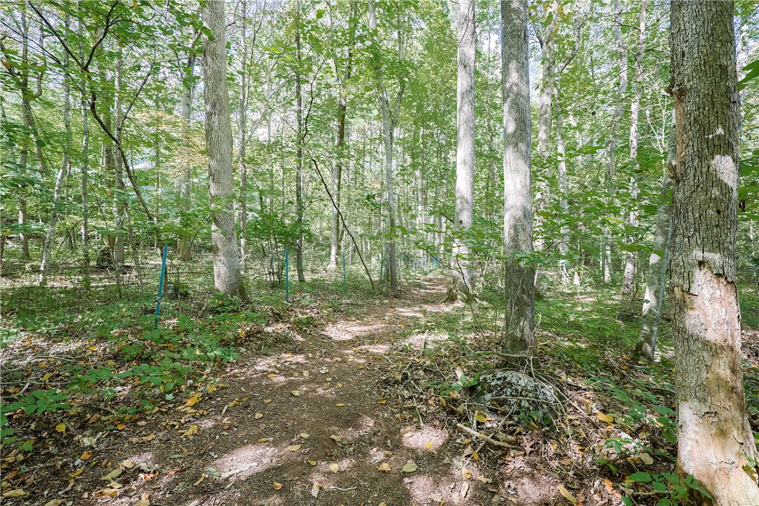 85 Indian Trail Glocester, RI 02814 - Photo 48 of 50