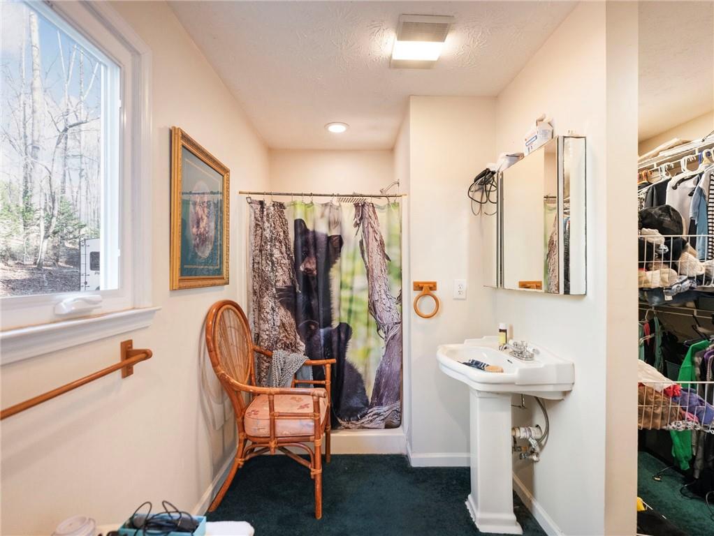 7389 Williams Road Flowery Branch, GA 30542 - Photo 15 of 49 a bathroom with a sink mirror and a window