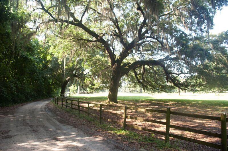 24 Middleton Oaks Road Charleston, SC 29414 - Photo 50 of 58 DSC_0023_preview