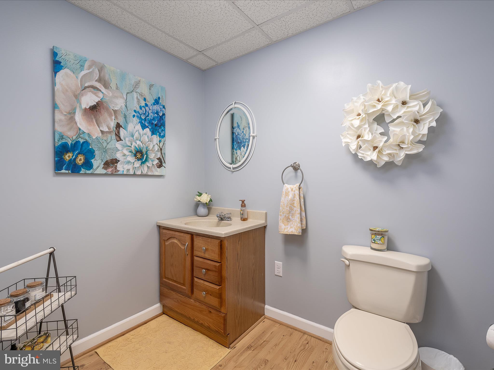319 Ridge View Drive Berkeley Springs, WV 25411 - Photo 21 of 46 Downstairs Half Bath