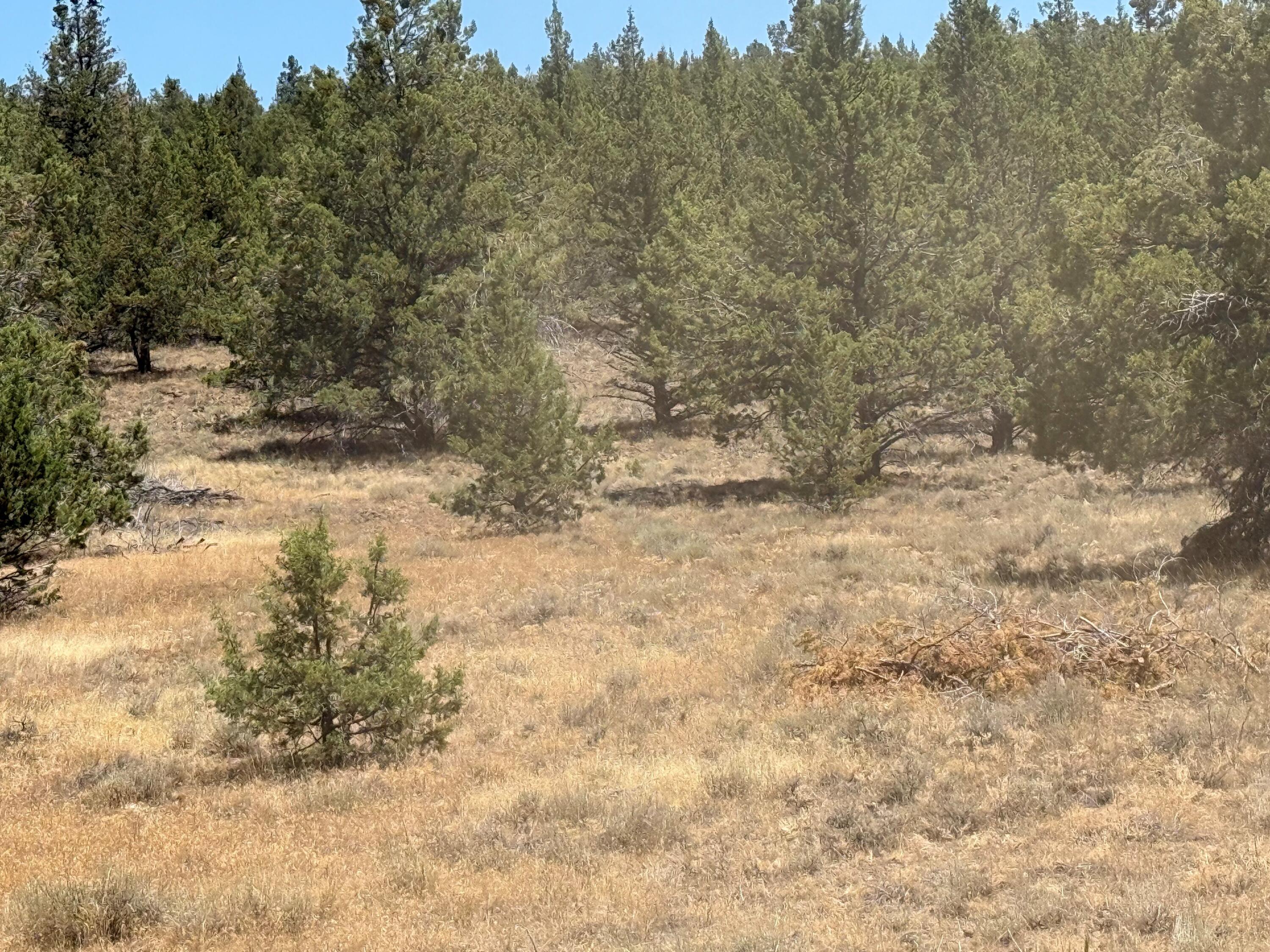 17550 Maupin Road Malin, OR 97632 - Photo 46 of 62 Gallery Image 46