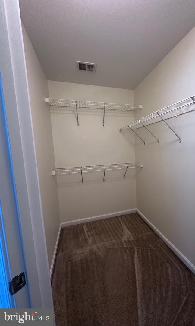 313 Brenton Road, Unit 40 Fredericksburg, VA 22405 - Photo 17 of 18 Spacious closet with ample storage.