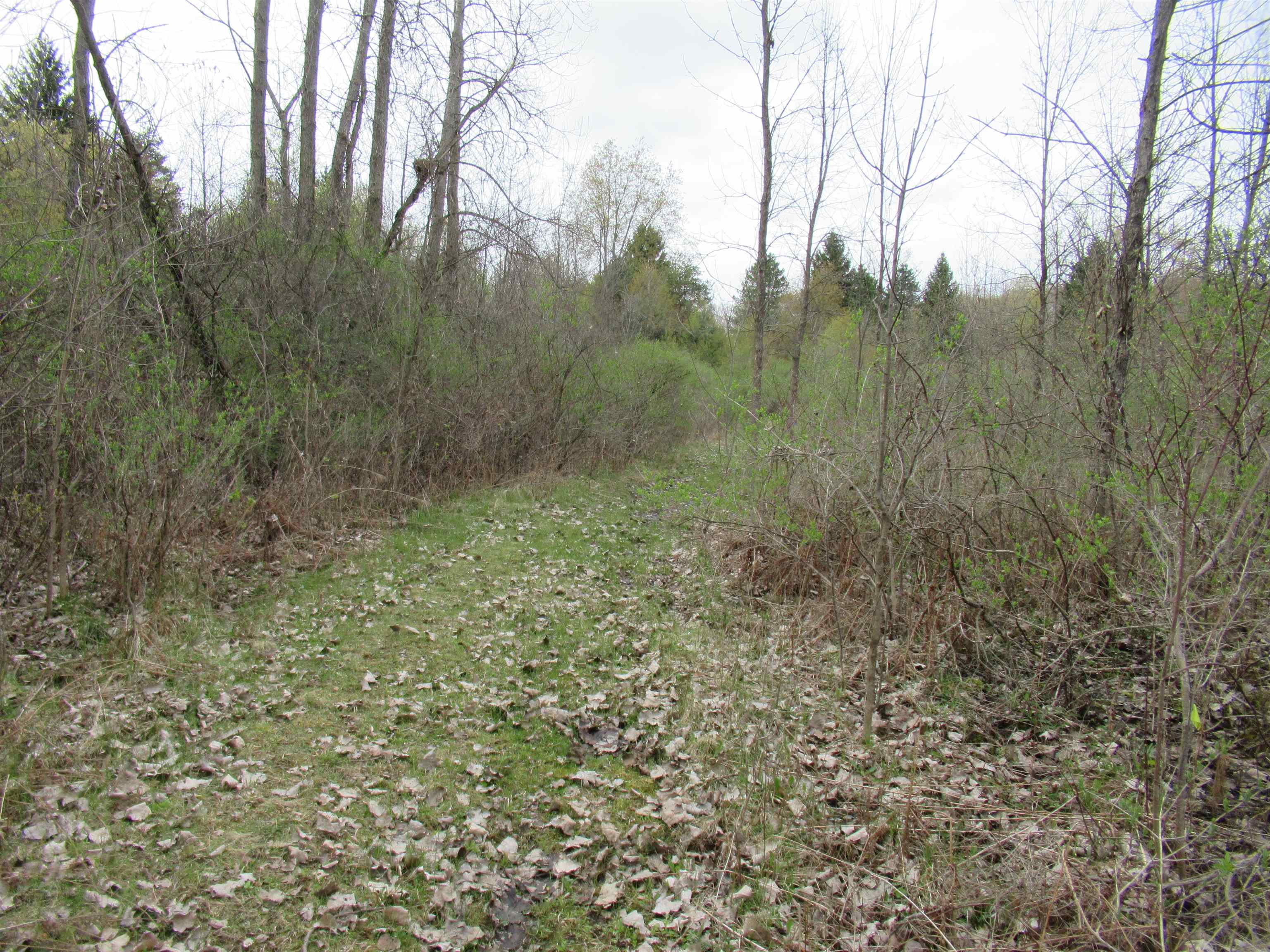 8292 Beecher Road Flushing, MI 48433 - Photo 44 of 54 50106803-43.JPG
