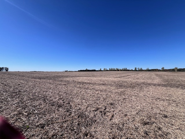 0 White Pigeon Road Weldon, IL 61882 - Photo 6 of 7