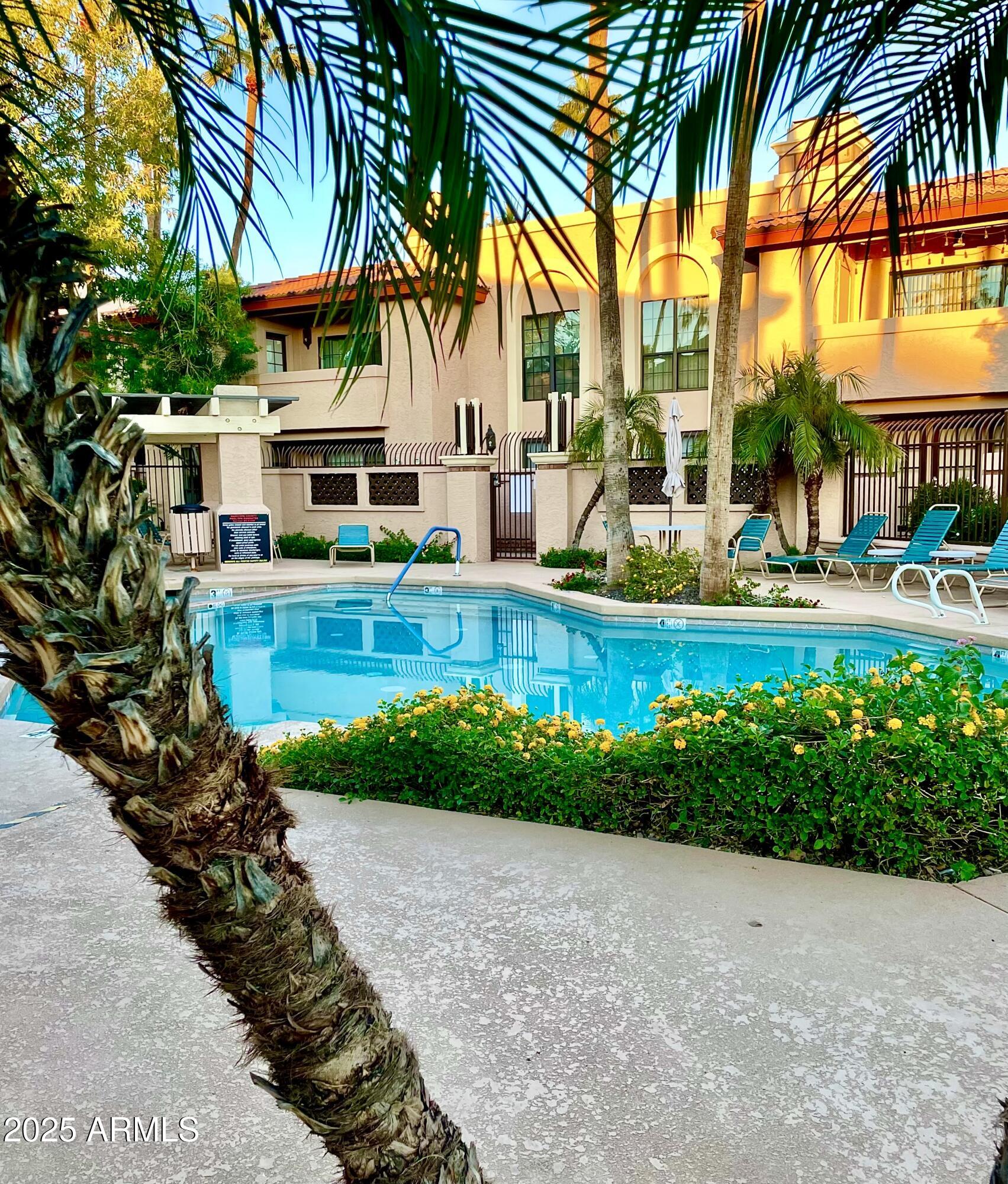 10410 North Cave Creek Road, Unit 2005 Phoenix, AZ 85020 - Photo 18 of 22 a view of a house with a yard and potted plants