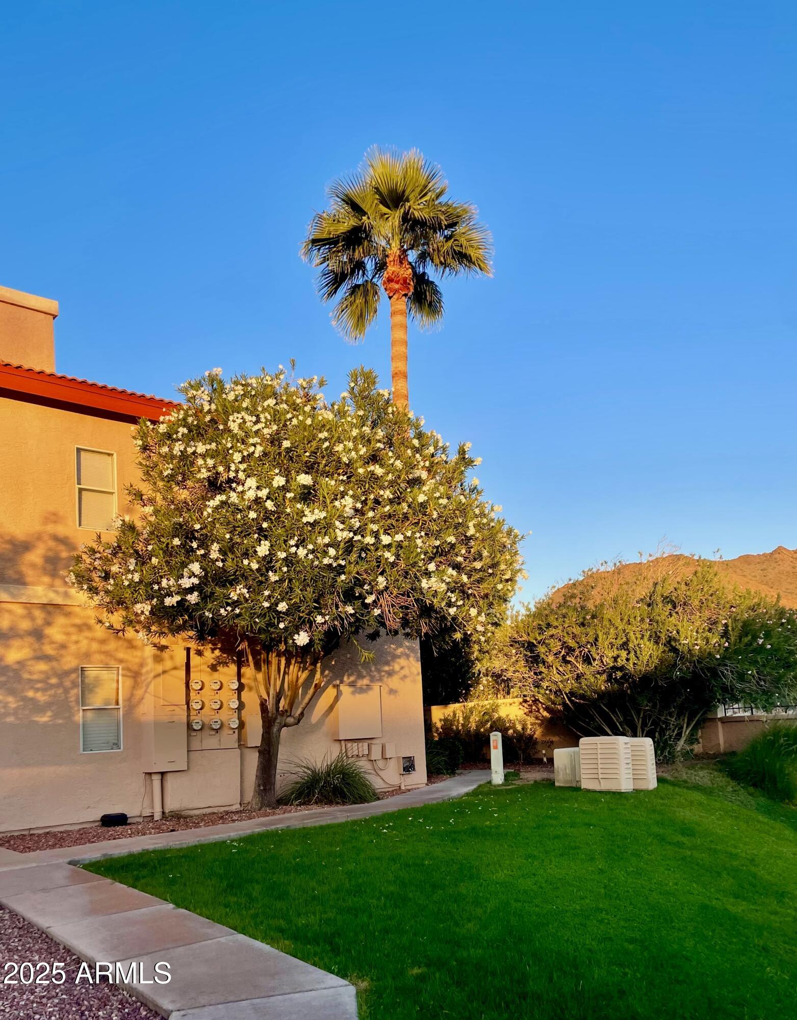10410 North Cave Creek Road, Unit 2005 Phoenix, AZ 85020 - Photo 21 of 22 a front view of a house with garden