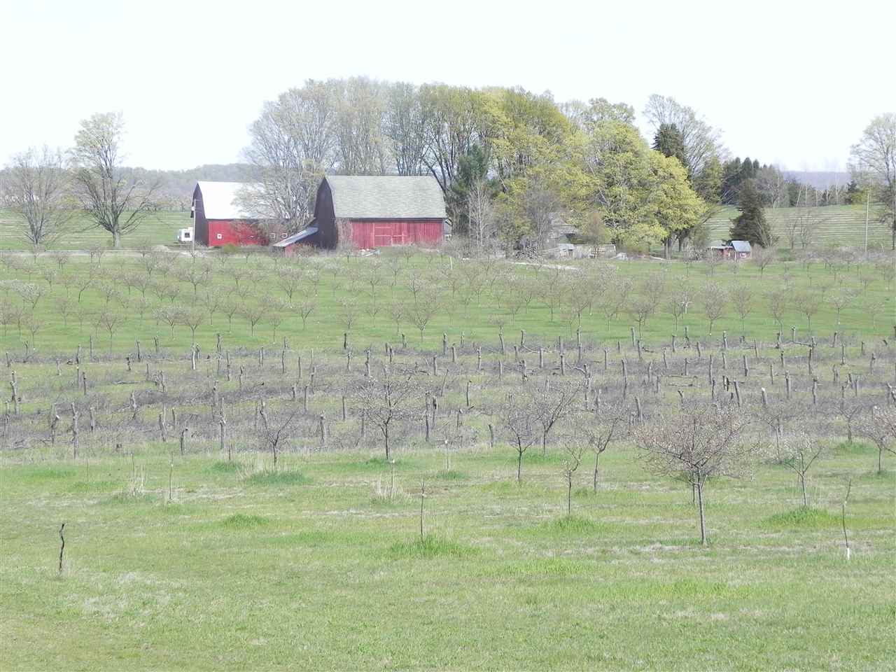 1816013.JPG