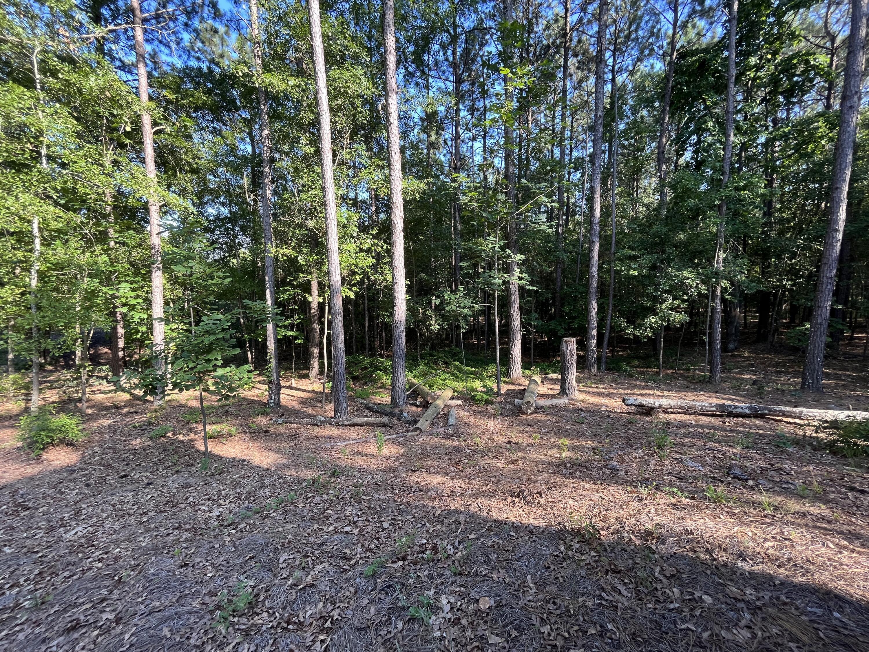 8215 Emerson Road Aiken, SC 29801 - Photo 3 of 11 IMG_2590