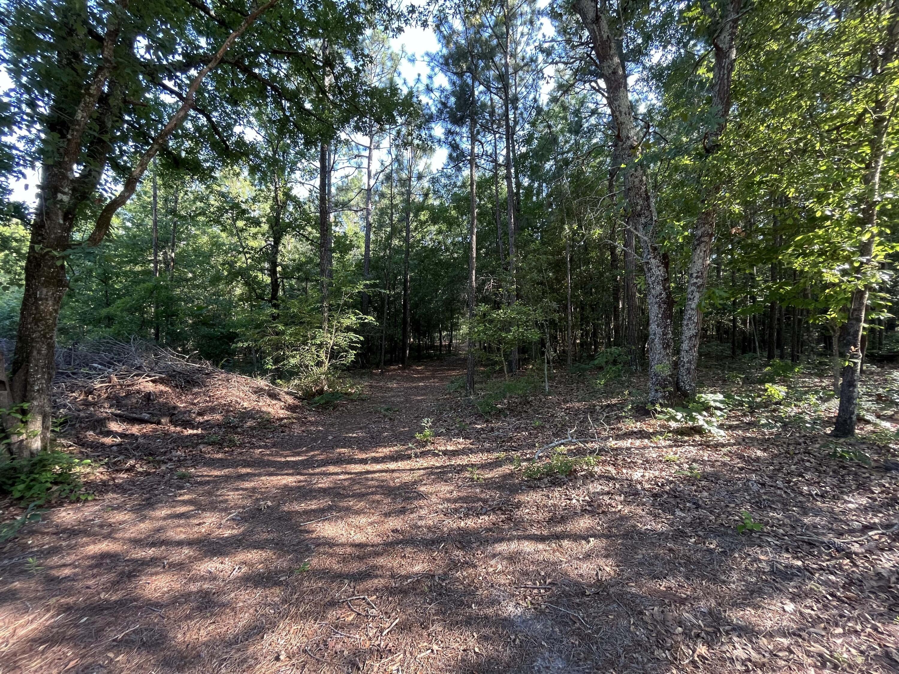8215 Emerson Road Aiken, SC 29801 - Photo 6 of 11 IMG_2592 (2)