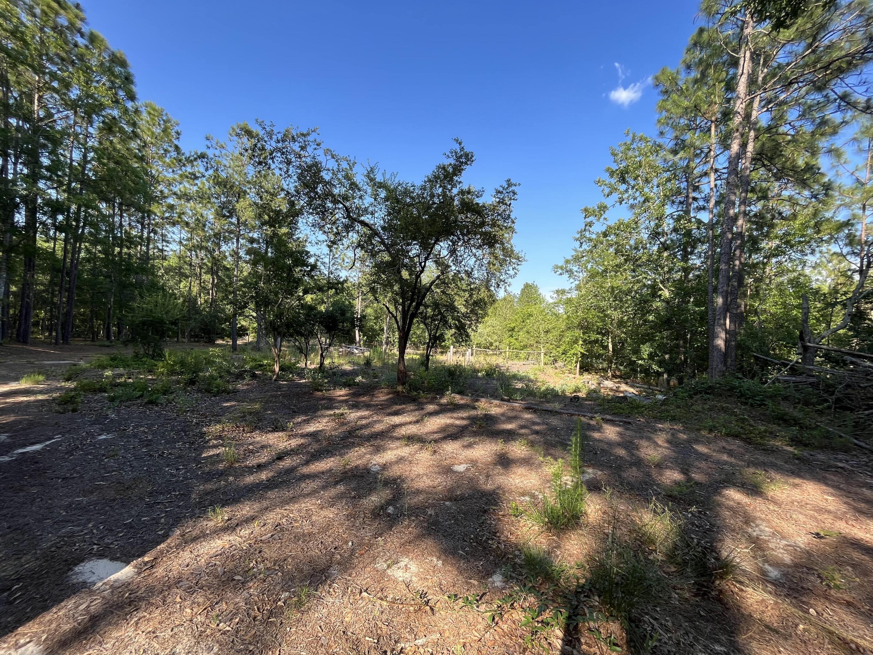 8215 Emerson Road Aiken, SC 29801 - Photo 7 of 11 IMG_2593