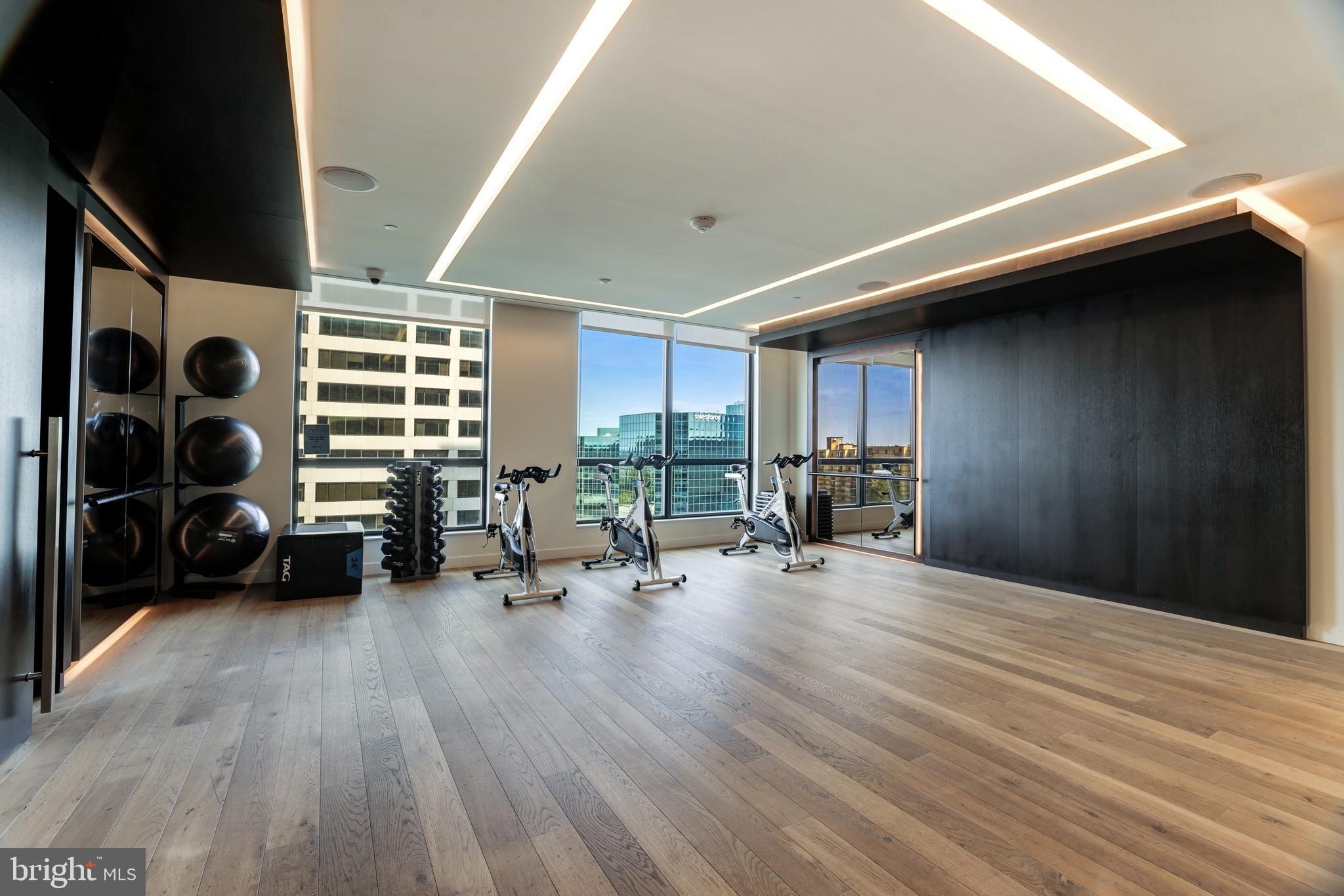1650 Silver Hill Drive, Unit 23091 McLean, VA 22102 - Photo 77 of 86 a view of a livingroom with furniture and a gate