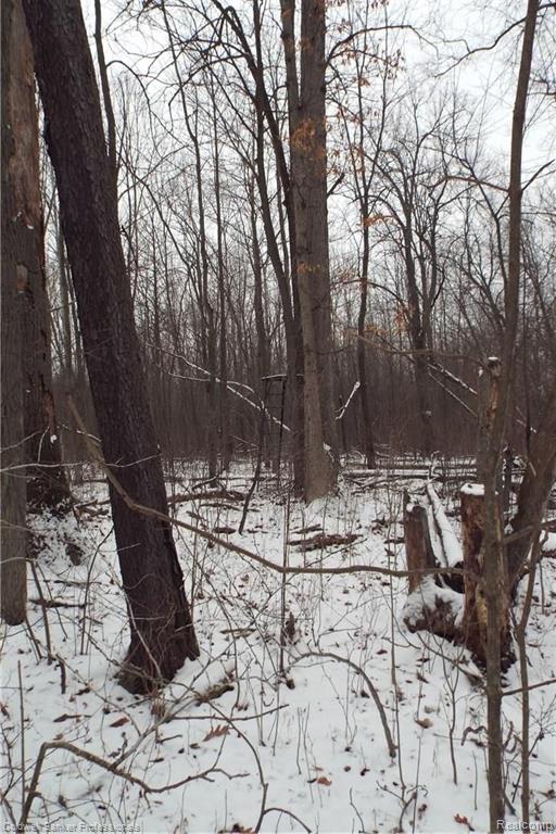 Eight West Eight Mile Road South Lyon, MI 48178 - Photo 30 of 58