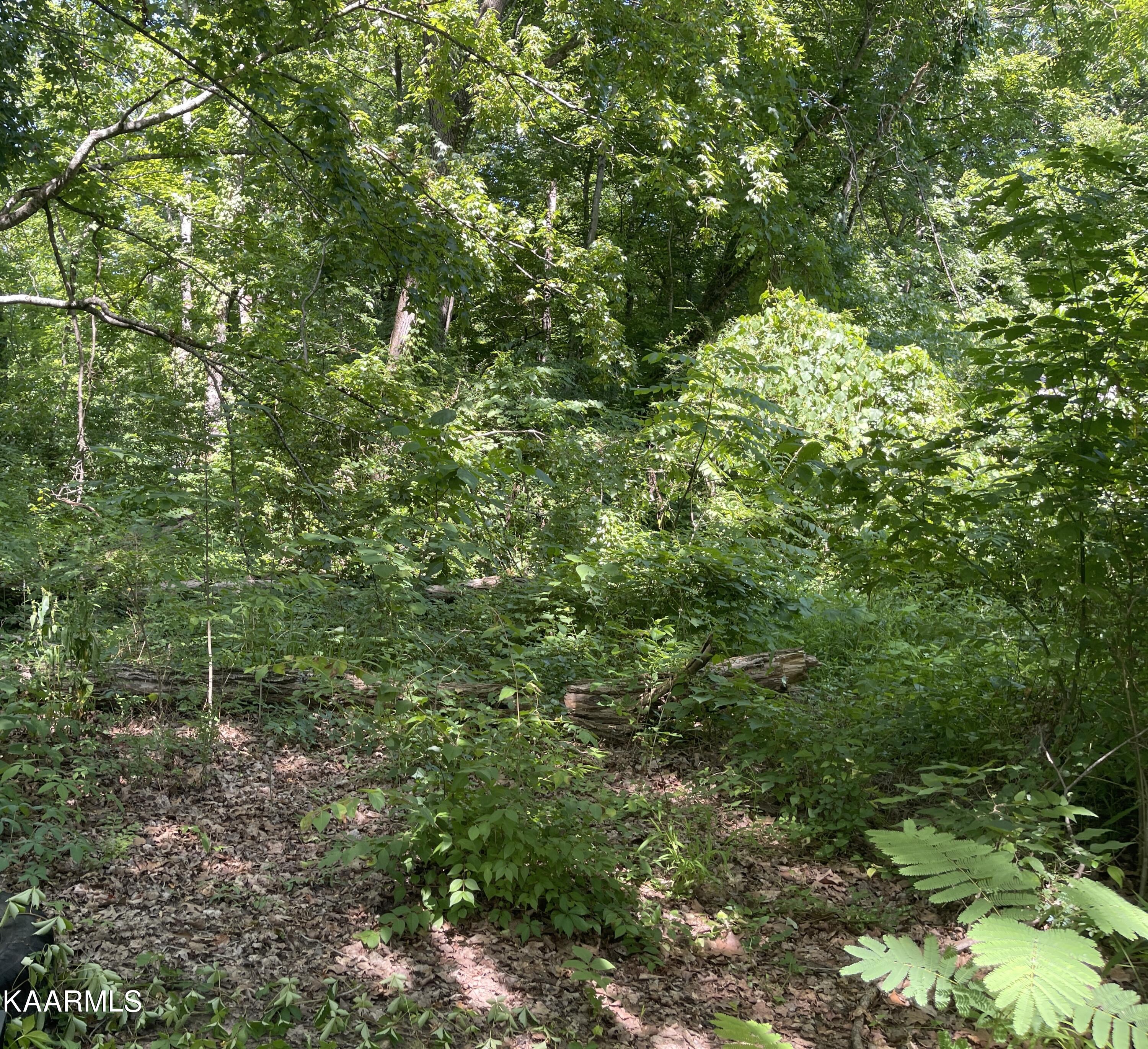 1508 Smallman Road Knoxville, TN 37920 - Photo 11 of 11 CAF22302-2C64-4C55-9EFD-22C72A87EAD9