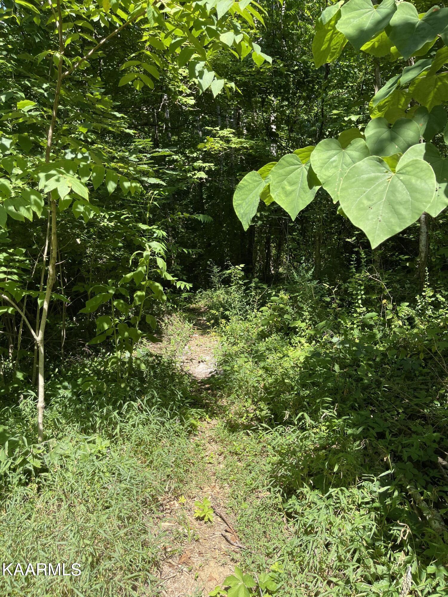 1508 Smallman Road Knoxville, TN 37920 - Photo 7 of 11 04D1FB31-4556-46CF-B104-79F03CE3FE20
